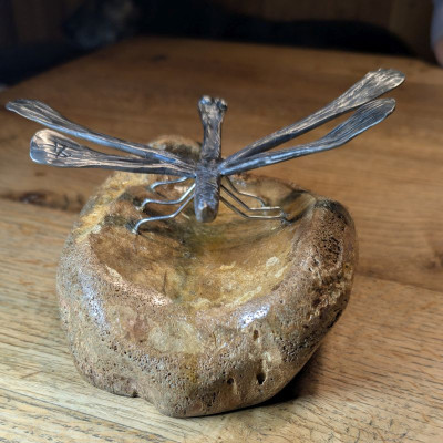 Die Libelle auf dem Eiszeit- Mammut