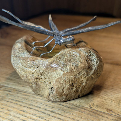 Die Libelle auf dem Eiszeit- Mammut