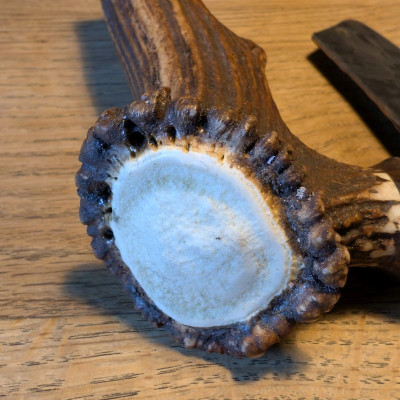 Brachiales Grill Pizzamesser oder Wiegemesser aus FLAK und Rothirschgeweih