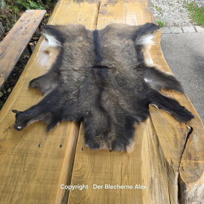 Fell Allgäuer Gams