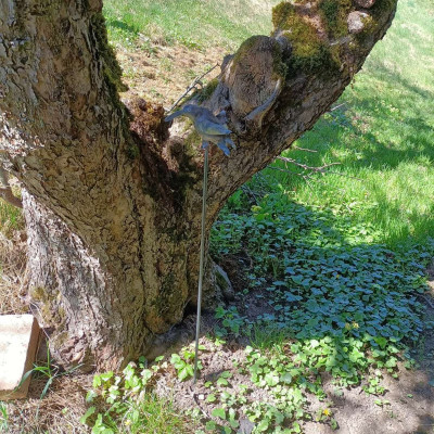 Geschmiedeter Kolibri aus Eisen unbehandelt